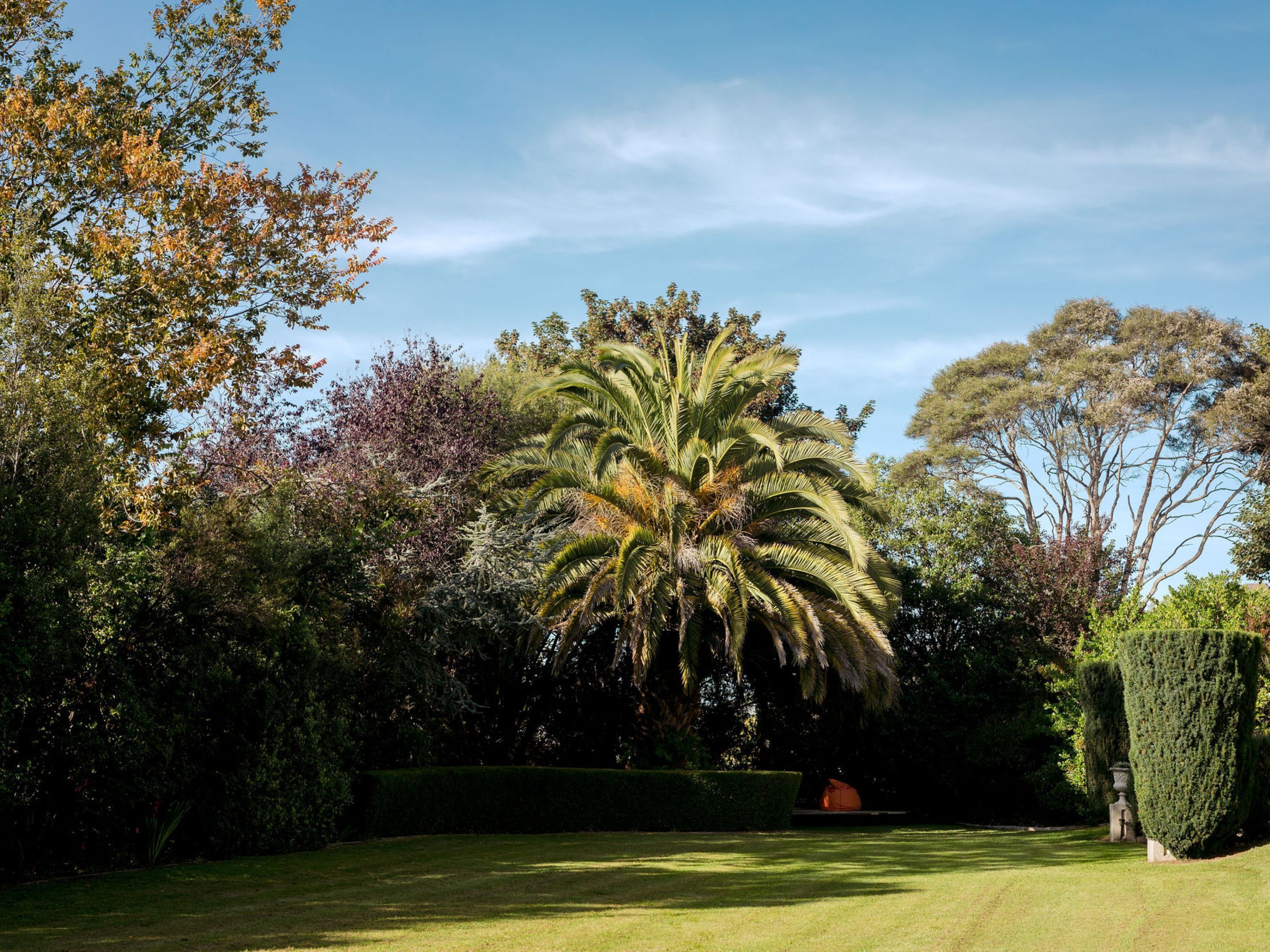 A well-maintained garden with a prominent palm tree, neatly trimmed hedges, and a variety of other trees.
