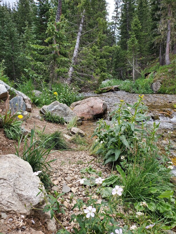 Terrain de l’hébergement 