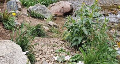 Plan a ski/snowboard trip at our Enchanted Condo 1.5 miles from Taos Ski Valley