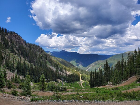 A mountainous landscape with a dirt path leading through a forested valley.