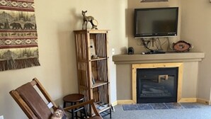 A living room with a fireplace, a television mounted above it, a wooden bookshelf, and a patterned rug.