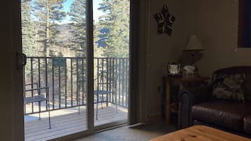 TV, fireplace, ping pong