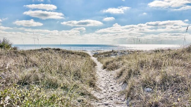 A sandy path leading to a beach with grassy dunes on either side.