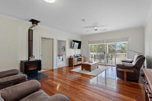 Smart TV, fireplace, DVD player, books