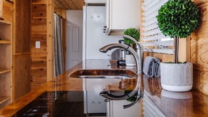 A modern kitchen with a stainless steel sink, wooden cabinets, and a potted plant.