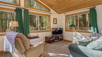 Televisión, chimenea, reproductor de DVD y libros