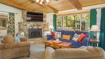 Télévision, cheminée, lecteur de DVD, livres