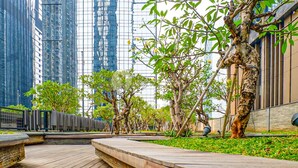 Un espace extérieur moderne avec une terrasse en bois, des aménagements paysagers verdoyants et de grands bâtiments en arrière-plan.