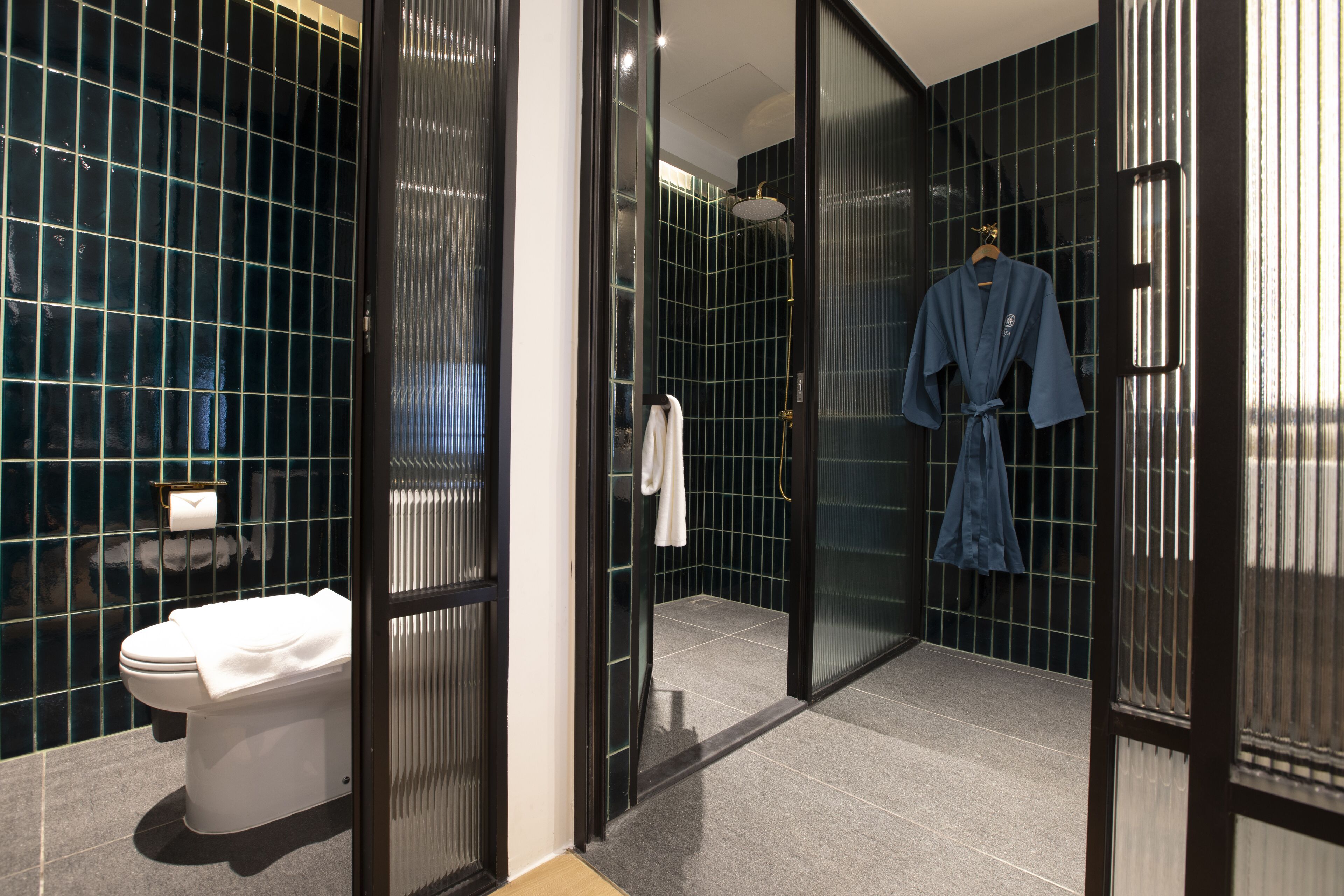 A modern bathroom with a toilet, a glass shower enclosure, and a robe hanging on the wall.
