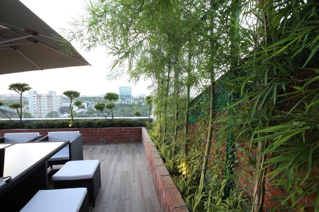 Un espacio al aire libre con mesas y sillas, rodeado de abundante vegetación y vistas de la ciudad.
