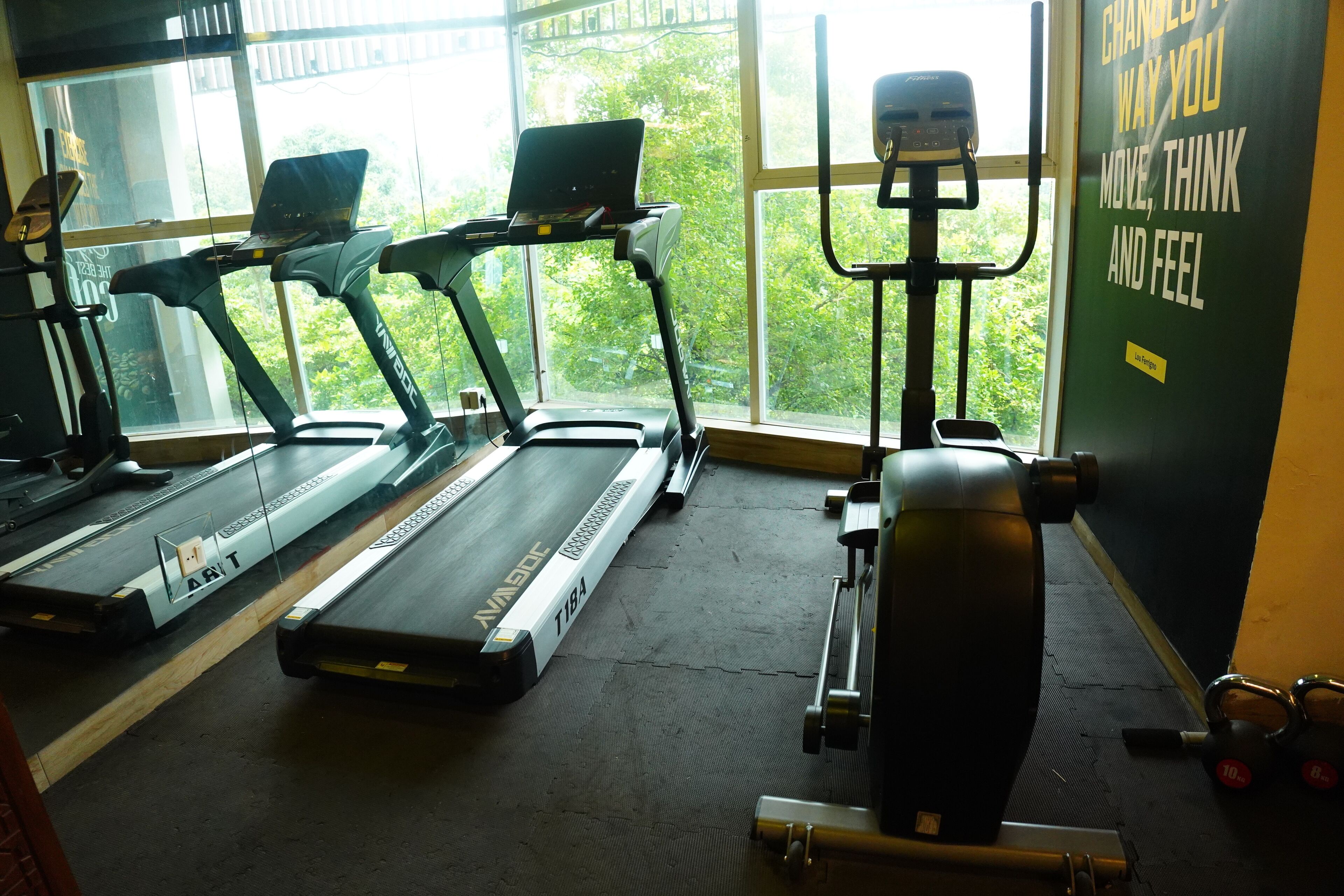 Un gimnasio con cintas de correr, una bicicleta estática y un banco para pesas.