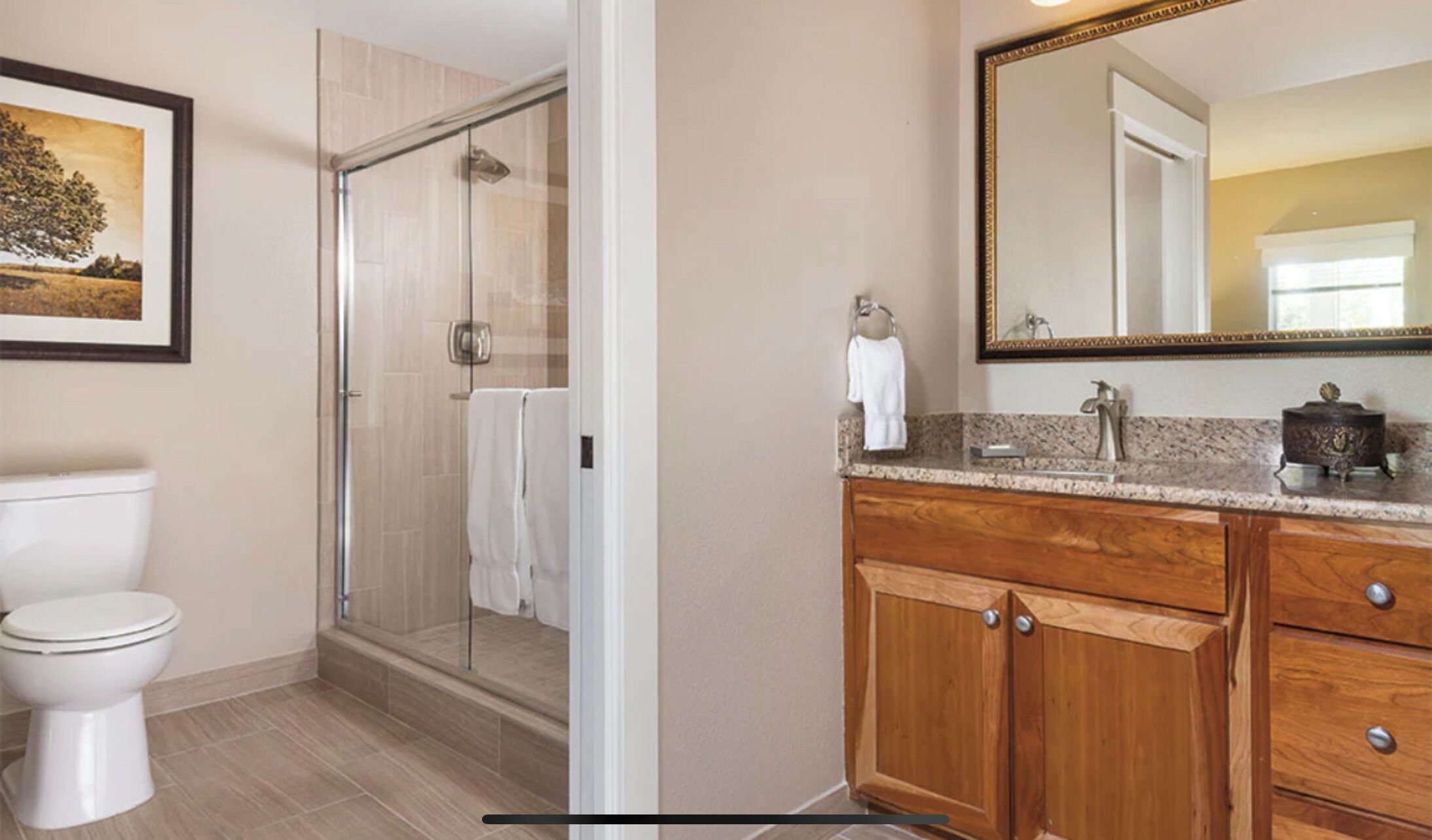 Jetted tub, hair dryer, towels