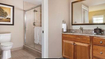 Jetted tub, hair dryer, towels