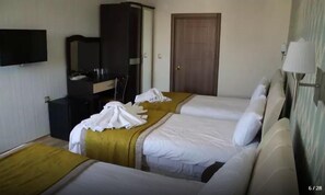 Minibar, free WiFi, bed sheets - Park Otel (Kayseri)