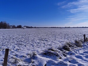 Imagem sem classificação, 5 de 21, botão