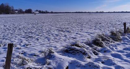 Helgas Ferienwohnung 4 Sterne**** - Apartment on the upper floor, 3 bedrooms, with own terrace,