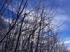 Imagem sem classificação, 3 de 21, botão