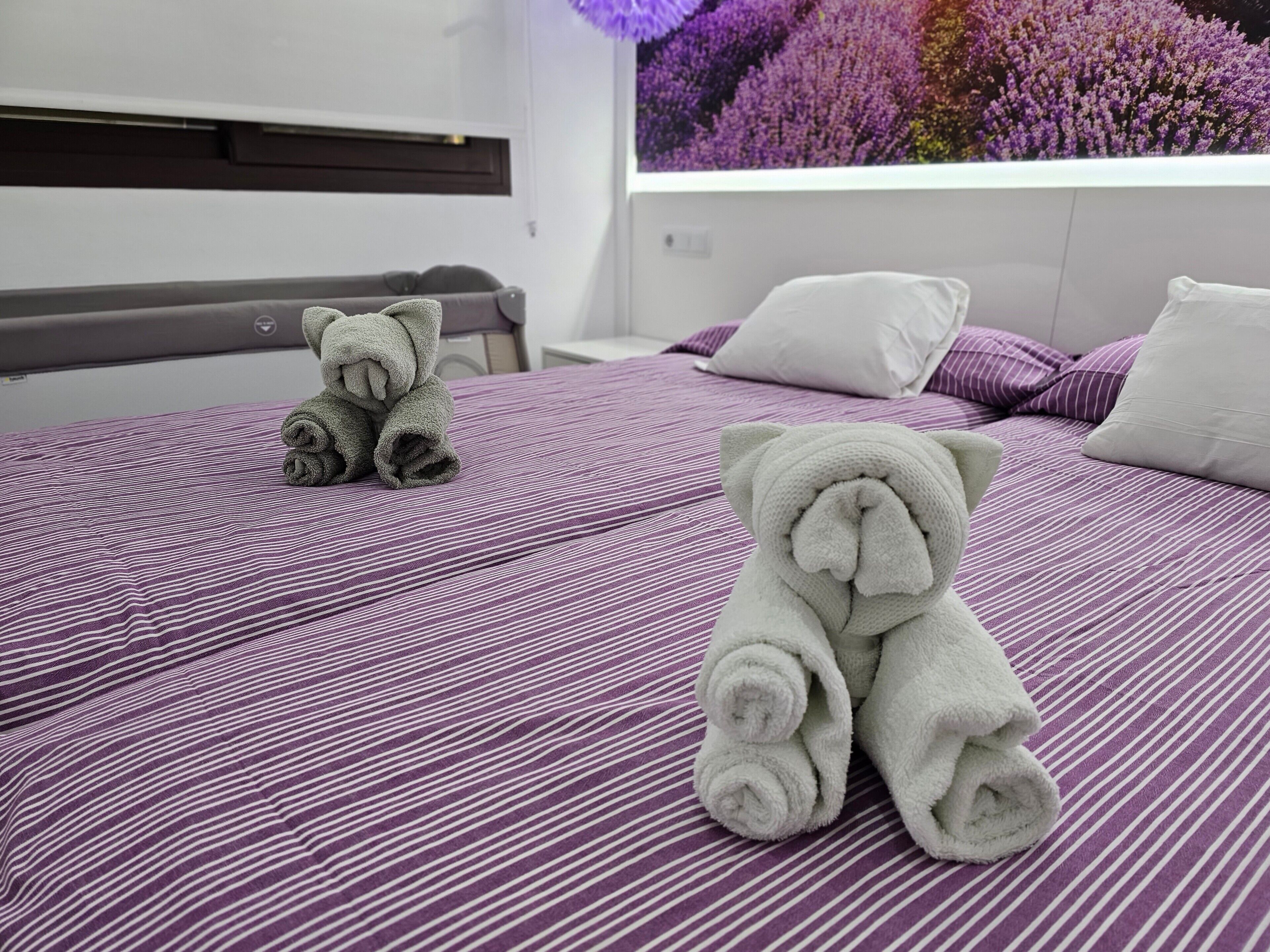 5 habitaciones, tabla de planchar con plancha y wifi gratis 