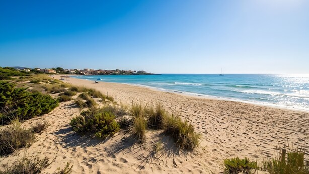 A beach with sand dunes, a clear blue sky, and a distant sailboat.