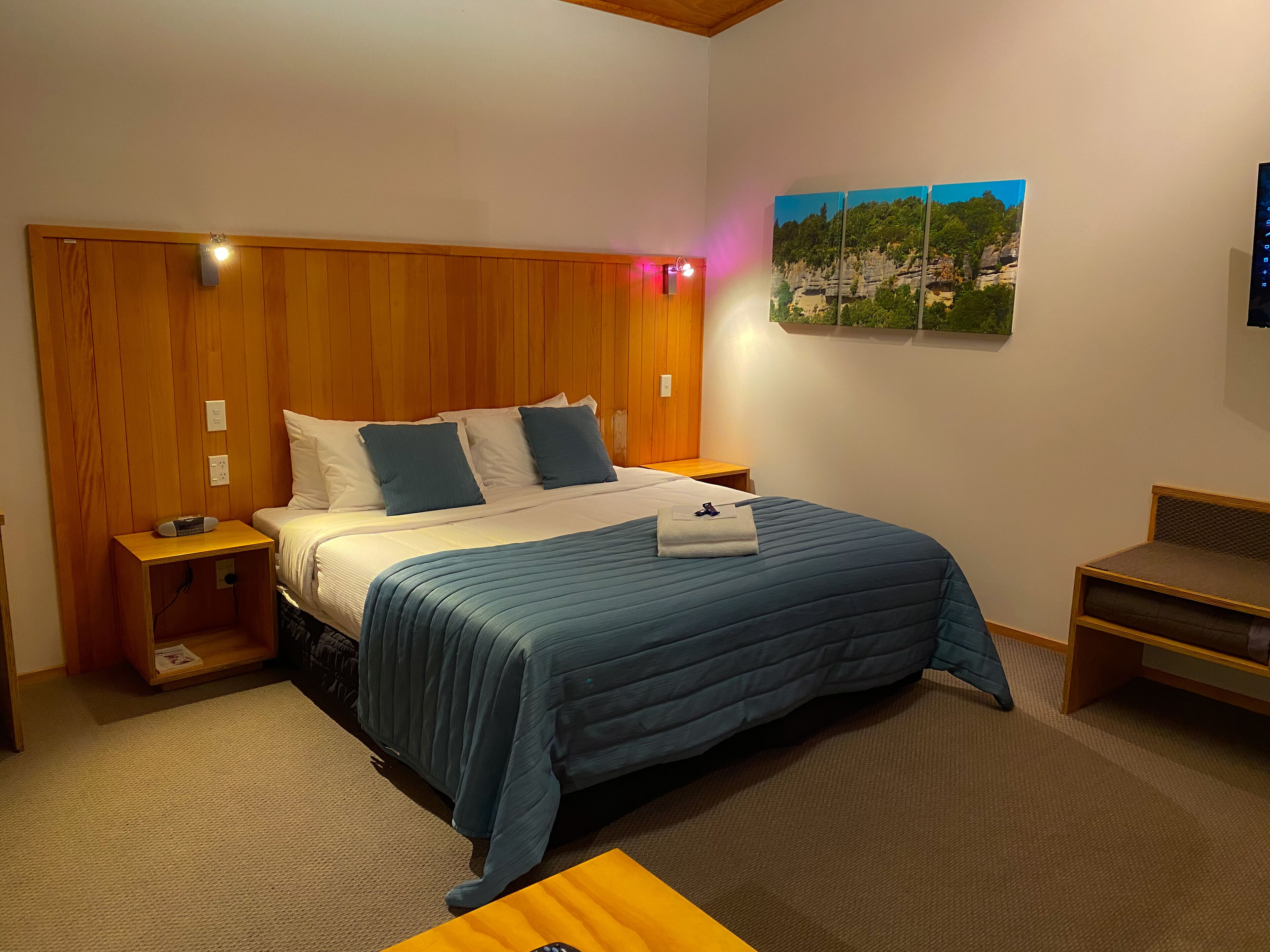 Deluxe Studio | Desk, iron/ironing board, free WiFi, bed sheets