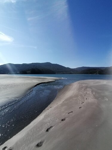 WATER FRONT SECRET GARDEN