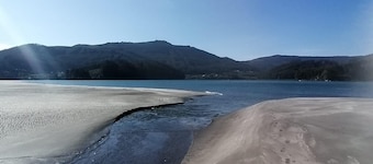 WATER FRONT SECRET GARDEN