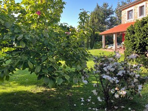 Ulkoalueet