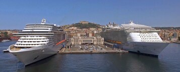 Two large cruise ships docked at a port with a historic building in the background.