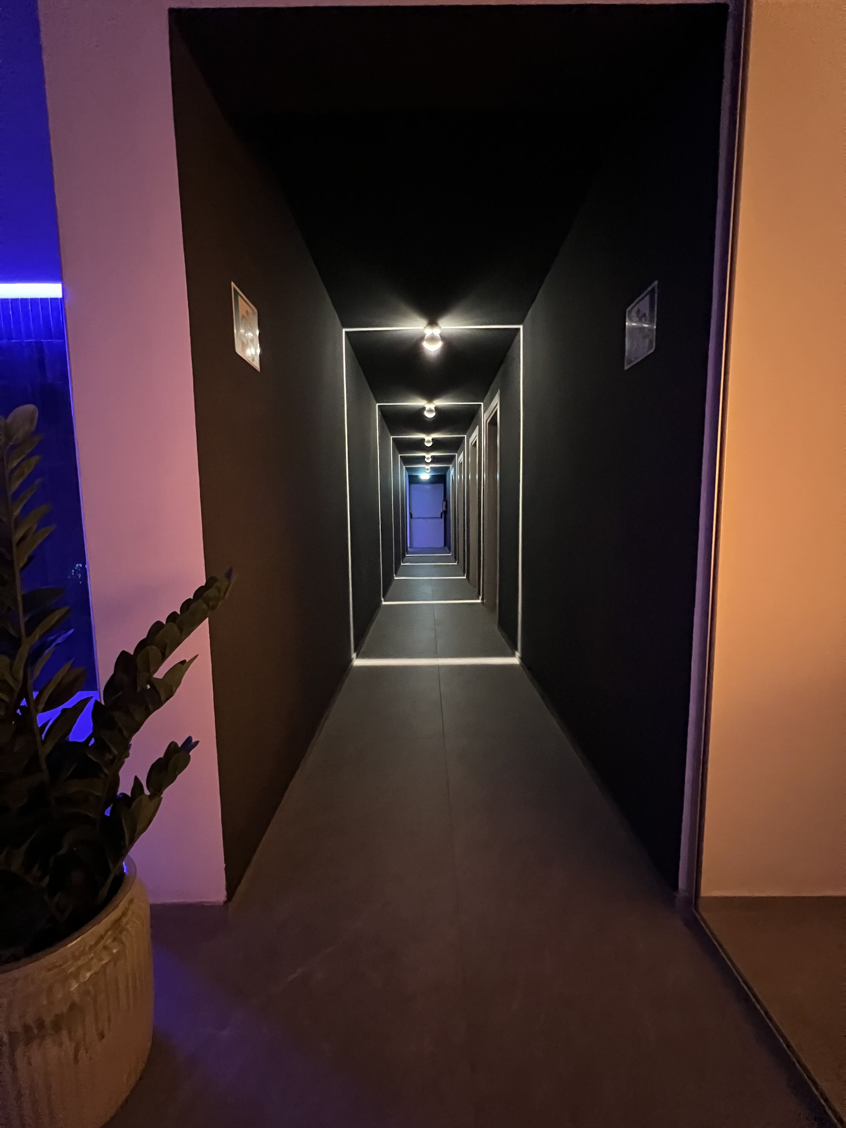 A long, narrow hallway with a series of lights along the ceiling and a potted plant on the left.