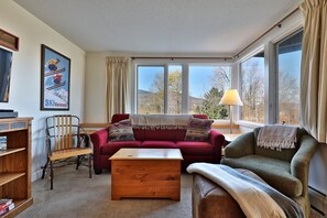 TV, fireplace, DVD player - How to Lose Your Ski Pass in 10 Days with Mountain Views on Shuttle Route A1 (Killington)