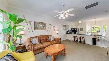 TV connectée, cheminée, livres, espaces bureaux