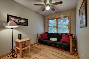Smart TV, fireplace, books