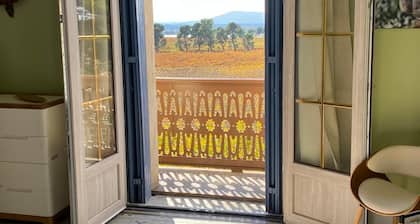 Gîte Château in Minervois near the Canal du Midi