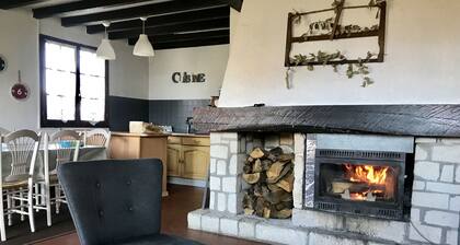 Mountain chalet with garden and magnificent view