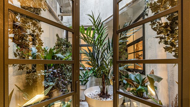 A view through a glass door of a courtyard with potted plants and a central planter. - Waou Boutique SOL I (Madrid)