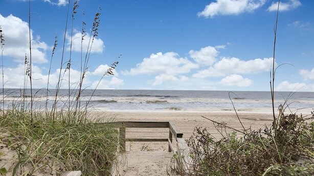 Une plage avec un banc en bois et de hautes herbes.