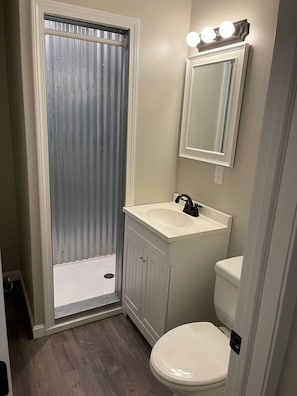 Combined shower/tub, hair dryer