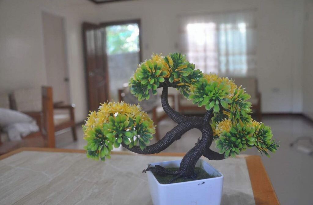Een pot met een bonsai-boom, herkenbaar aan de dikke stam en vele takken, staat op een tafel in een kamer met een bed en een raam op de achtergrond.