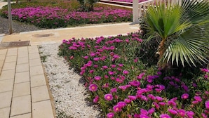 Um caminho bordado por flores rosa vibrantes que leva a um edifício de design moderno.