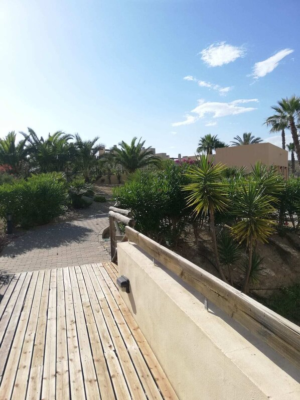 A wooden deck with a concrete barrier, surrounded by lush greenery and palm trees.