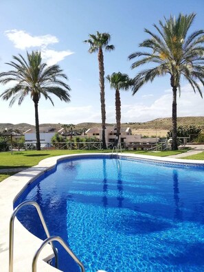 A swimming pool with clear blue water, surrounded by palm trees and a building in the background.