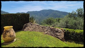 A garden with a large rock, a potted plant, and a vase. - Secluded private villa with pool close to the mountains, just 25 mins from Nice (Coaraze)