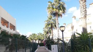 A paved walkway lined with palm trees and a metal fence, leading to a building with balconies.