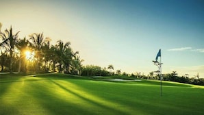 En golfbana med en flaggstång, palmer och en klar himmel.