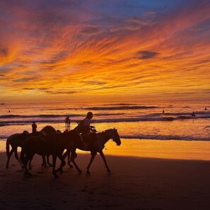Ubicación cercana a la playa, tumbonas y toallas de playa