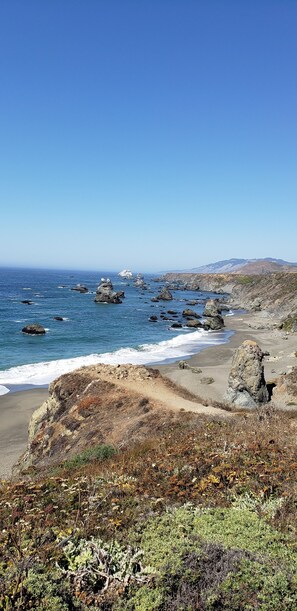 Beach - Forest Ridge - Private Estate w/ Hot Tub and Sauna (Sebastopol)