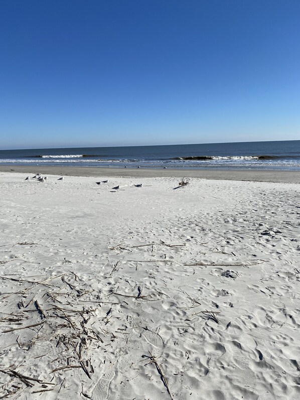 بالقرب من الشاطئ، مناشف للشاطئ