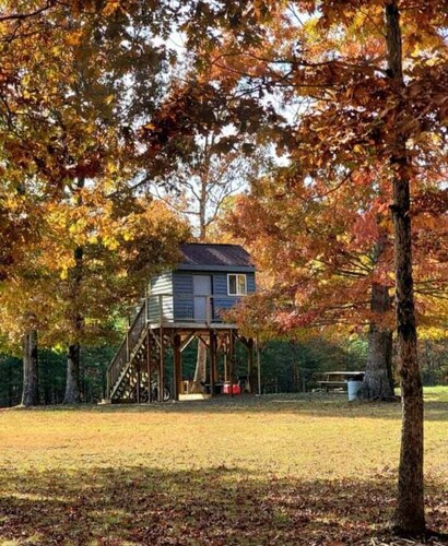 Treehouse/Camping
