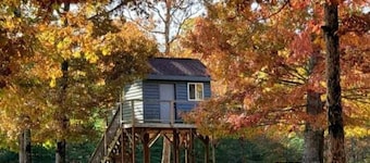 Treehouse/Camping
