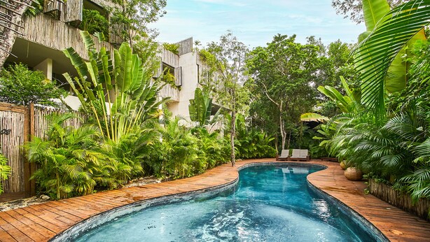 A swimming pool surrounded by lush greenery and wooden decking. - Eco-chic Design Condos Wrapped in Nature's Elements (Tulum)